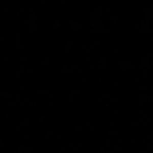 Meet your Posher, Arieonna